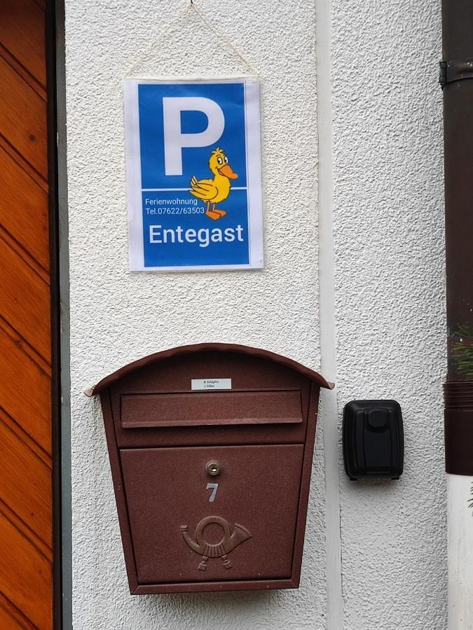 Apartment Entegast Schopfheim Exterior photo